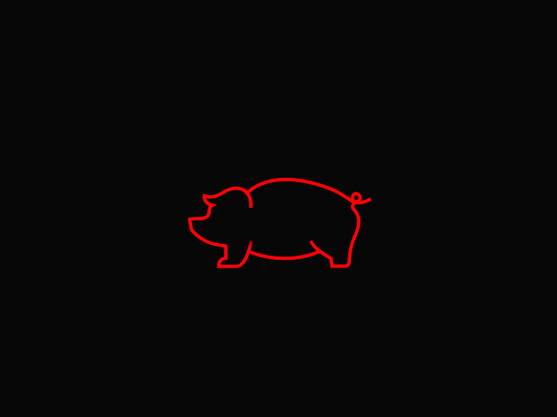 Pig silhouette 2d after effects after effects animation after effects template animated animation branding design icons illustration logo logo animation minimalistic motion motion animation motion graphics paper animation