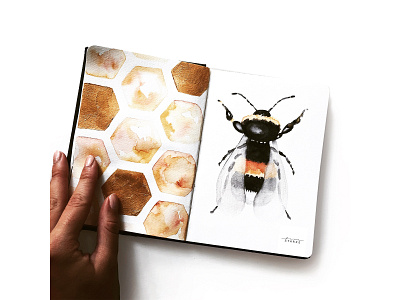 Sketchbook Page art artist artwork bee bee logo bees design draw drawing honey honey bee illustration illustrator lisastarke painting sketch sketchbook sketching watercolor watercolor art