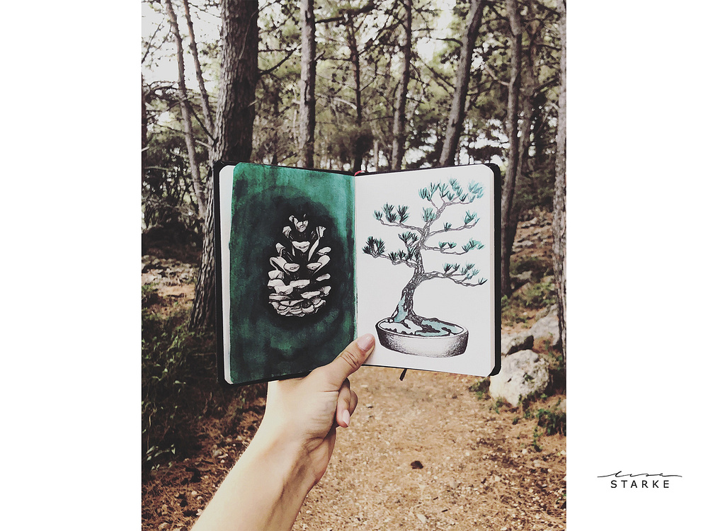 Sketchbook Art designs, themes, templates and downloadable graphic