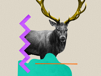 Elk Collage