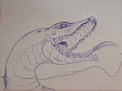 Dragon dinosaur dragon drawing