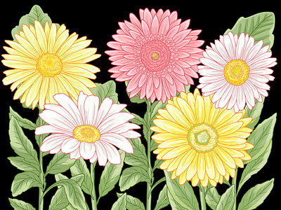 Graphic Daisies daisies flower illustration graphic art illustration