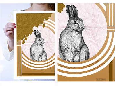 The Young Hare drawing graphic hare illustration poster print