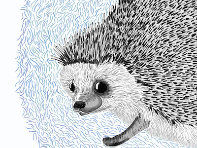 New hedgehog drawing. drawing hedgehog illustration ink pen photoshop