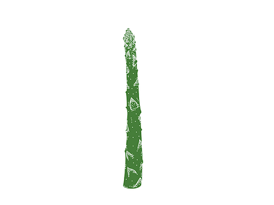 Asparagus asparagus cintiq green illustration illustrator vector vegetable