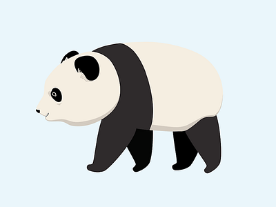 Panda animal cute illustration panda pandabear vector