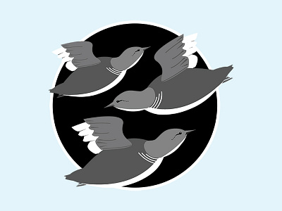 Birdflight patch