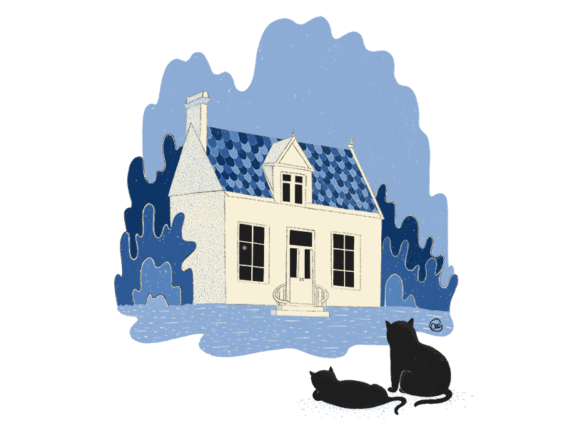 Mystic House animation blackcat cat drawing eerie house house illustration motion mystic spooky storytelling