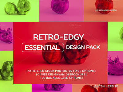 RETRO-EDGY ESSENTIAL DESIGN PACK brochure business card design pack edgy flat flyer full pack icon design offer retro web design website