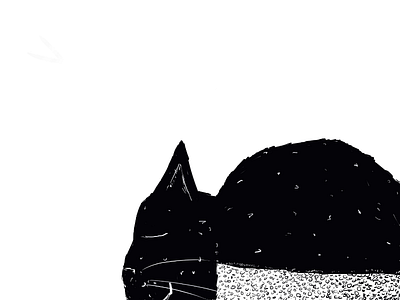 Sleepy Cat illustration cat drawing design