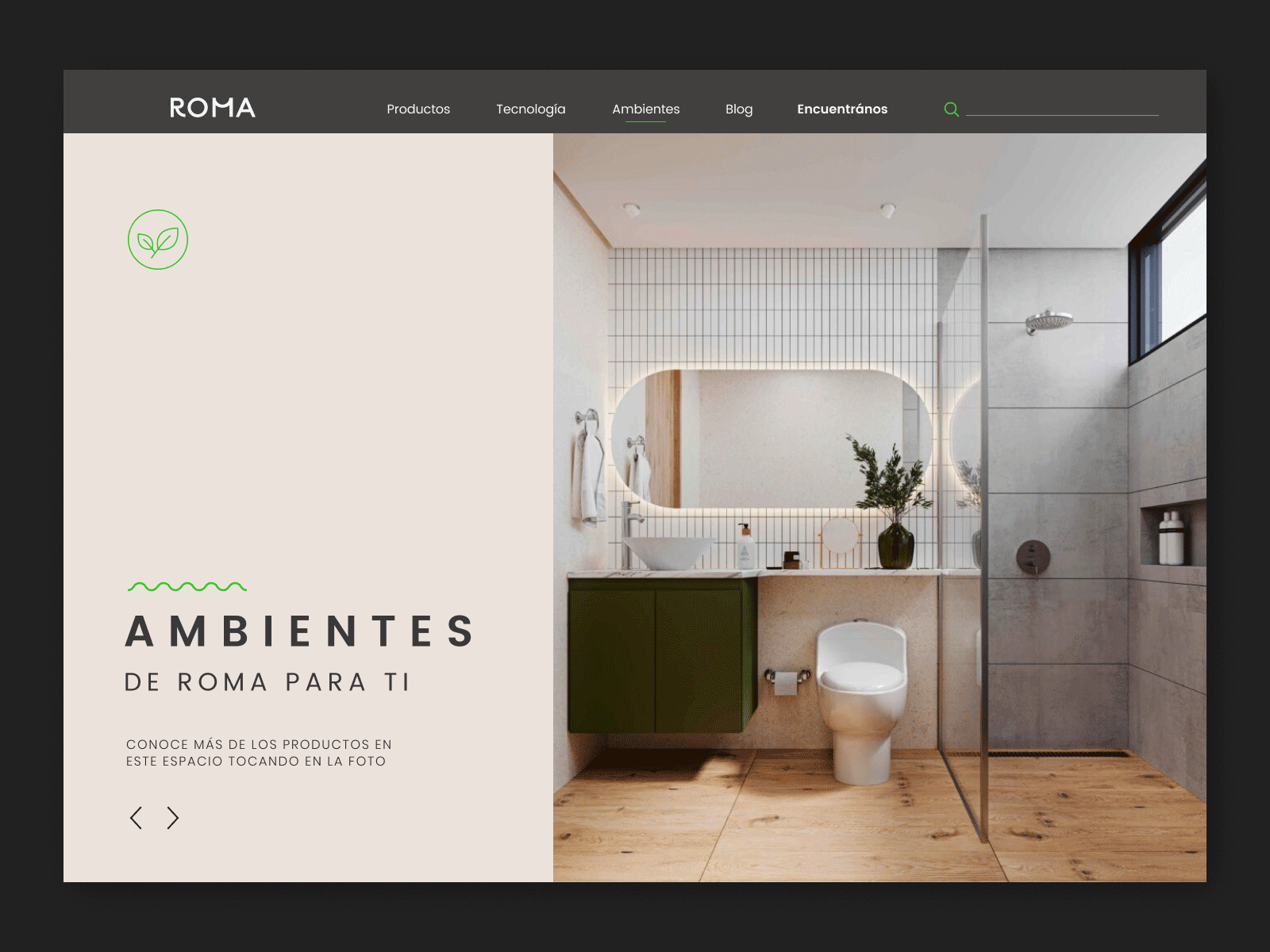 Roma Website Product decoration graphic design landing layout sanitary ui web design website