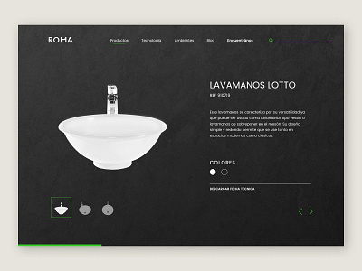 Roma Product Gallery decoration graphic design landing layout sanitary ui web design website