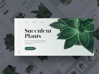 Succulent Plants - Promo page - Main page design illustration plants promo succulent ui ux web design