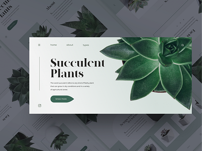 Succulent Plants - Promo page - Main page