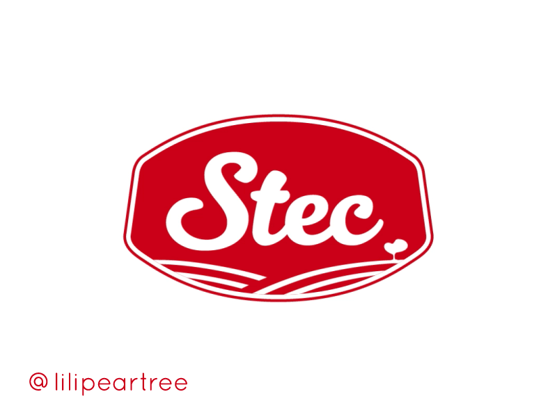 Stec logo animation 2d 2d animation after effects animation brand freelancer lili pereira liliana pereira lilipeartree logo logo animation motion motion design motion designer motion graphics portugal raporal stec text text animation