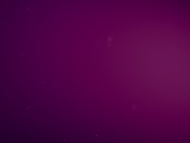 Eid Greeting after effects animated animated gif eid motion graphics purple sheep