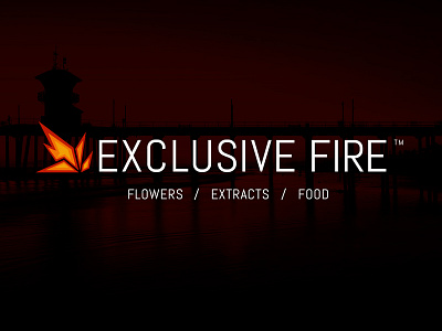 Exclusive Fire — Delivery Service Logo branding delivery service fire logo marijuana