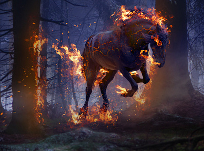 Hell Horse art concept digitalart fantasy horse photobash