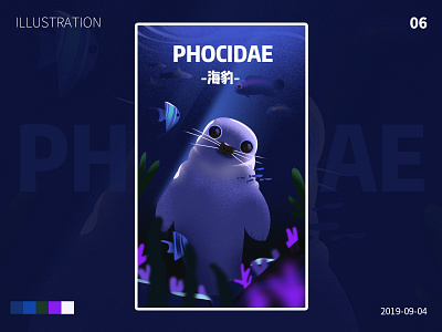 phocidae design illustration