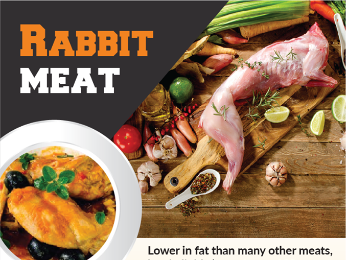 Rabbit Flyer by Sharif Mahmud on Dribbble