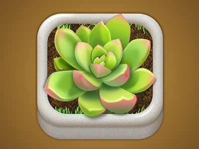 App Icon succulents