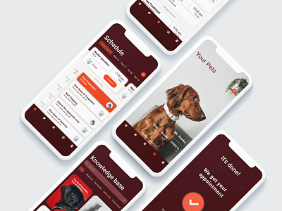 Momo Pet Clinic Application Design