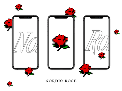 Nordic Rose mockup icon illustration rose visual design