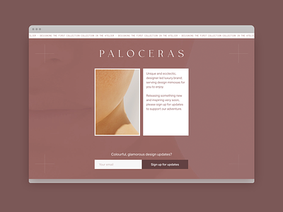 Paloceras.com landing page 3d modeling accessories landing page luxury newsletter product design ui design