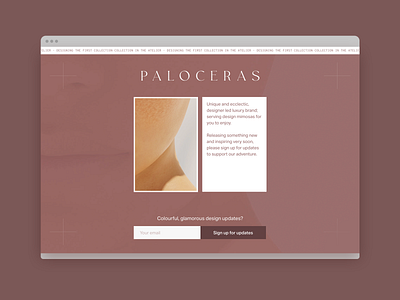 Paloceras.com landing page