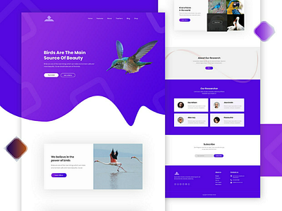 Bird's Landing Page bird bird template psd template template design ui ui template web template website design