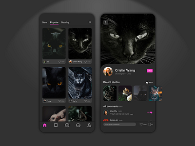A cat communication APP app cat design mobile ui ux