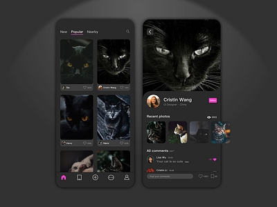 A cat communication APP