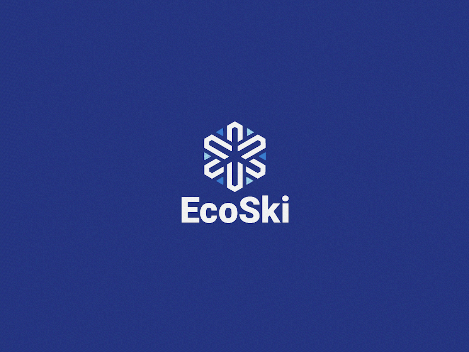 Logo Design - EcoSki adobe illustrator clean geometric graphic design logo logo design minimal minimalist