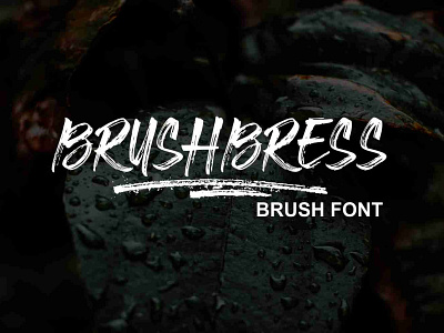 BRUSHBRESS