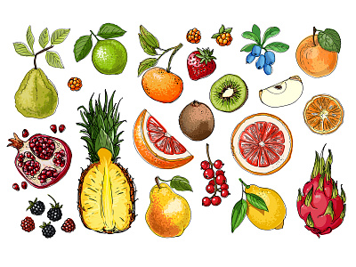 Vector food: vegetables and fruits illustration restaurant