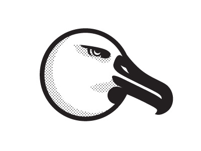 Albatross albatross bird illustration logo