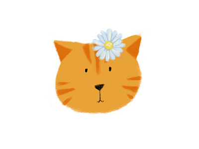 Cat 2 illustration