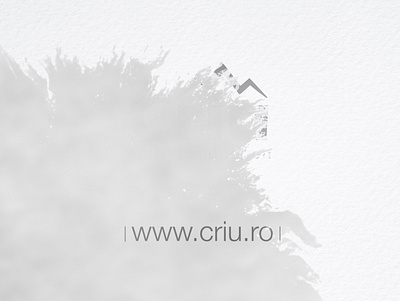 site and logo criu branding ink transition logo logo animation site