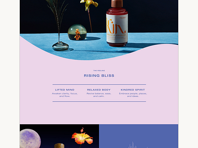 Website for Kin Euphorics design e commerce ecommerce euphoric fashion interaction kin lifestyle luxury mobile product design shopify social tonic typography ui ux web