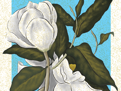 Magnolia Illustration card flower magnolia wedding