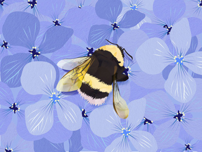 Busy Solitutude bee bumble flowers illustration insect vector