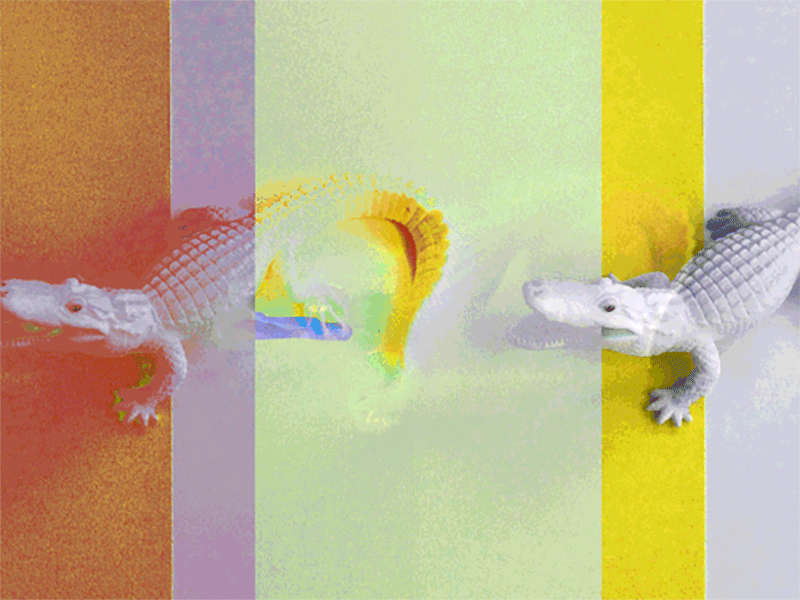 A Lacoste Trip aligator animal animation art direction colorful colors glitch glitch art photo photography rainbow vintage white