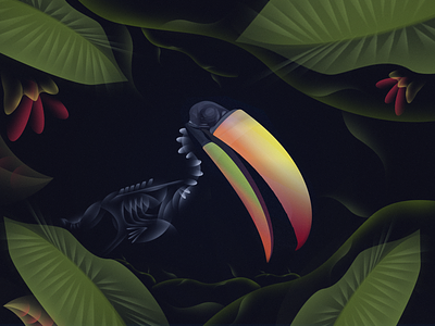 Toucan dark design forrest graphic design illustration illustration art leaves nature toucan vector