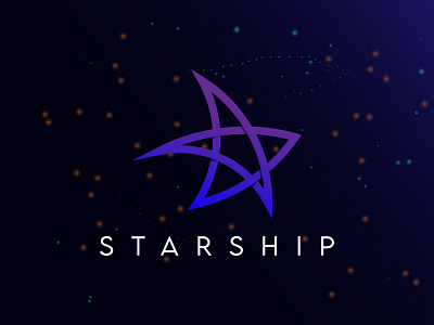 Starship branding identity logo logo branding logo design night