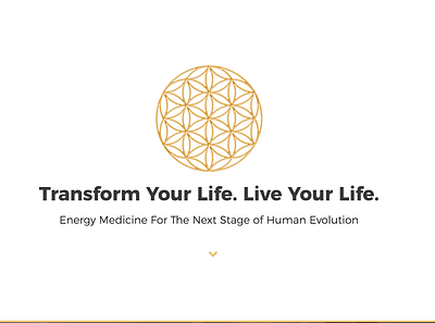 Nancy Bouchard - Energy Medicine branding design flower of life golden logo minimal sacred geometry