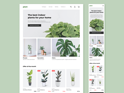 Plant Store Page Concept icons ui