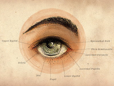 Eye Theme Resume alchemy apothecary illustrated resume illustration medical personal branding resume vintage