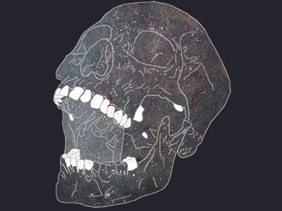 Skull. galaxy illustration skeleton skull texture
