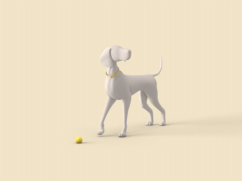 Luna v2 3d animation c4d cinema 4d dog weimaraner
