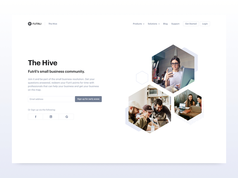 The Hive brand identity branding business community hexagon hive marketing web